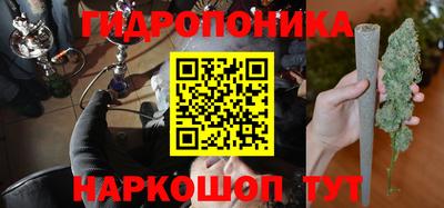 прущие грибы Коммунар
