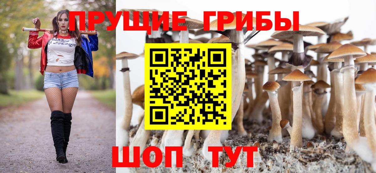 Псилоцибиновые грибы мухоморы Пятигорск