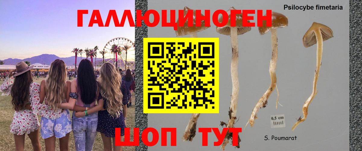 ГАШИШ Пятигорск